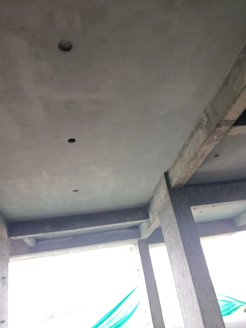 Confident Silver Oak Project Schedule on 7th August 2026