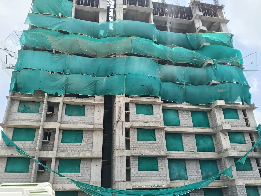 Confident Silver Oak Project Schedule on 7th August 2026