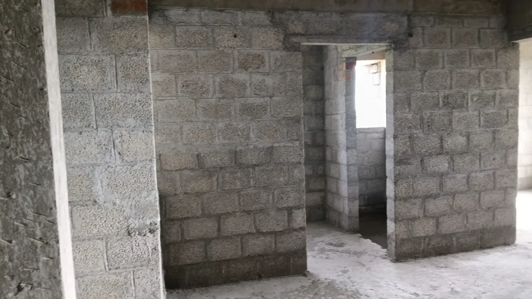 Confident Silver Oak Project Schedule on 7th August 2026