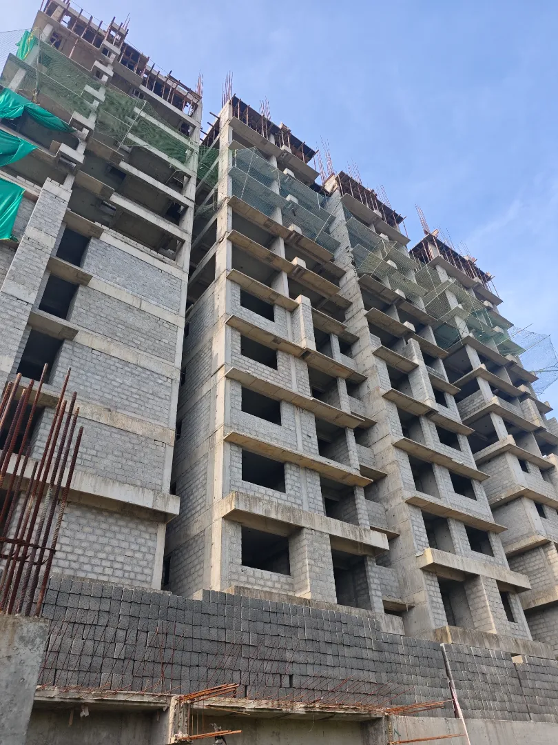 Confident Silver Oak Project Schedule on 7th August 2026