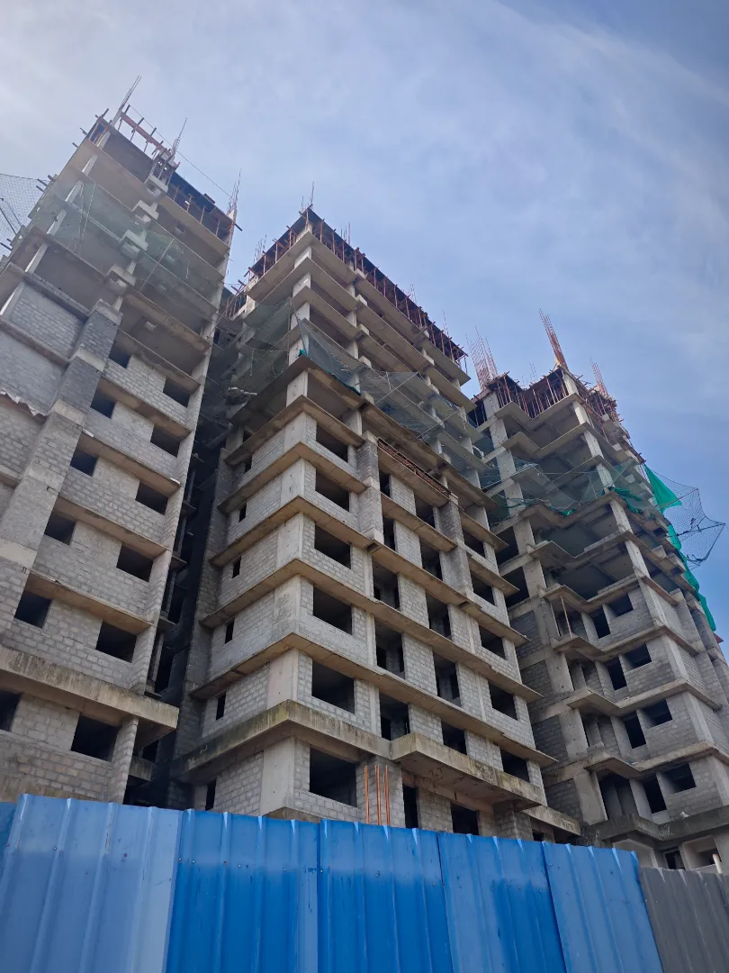 Confident Silver Oak Project Schedule on 7th August 2026