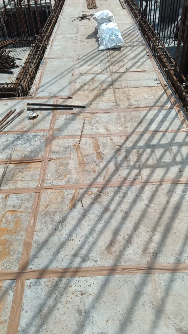 Confident Silver Oak Project Schedule on 7th August 2026