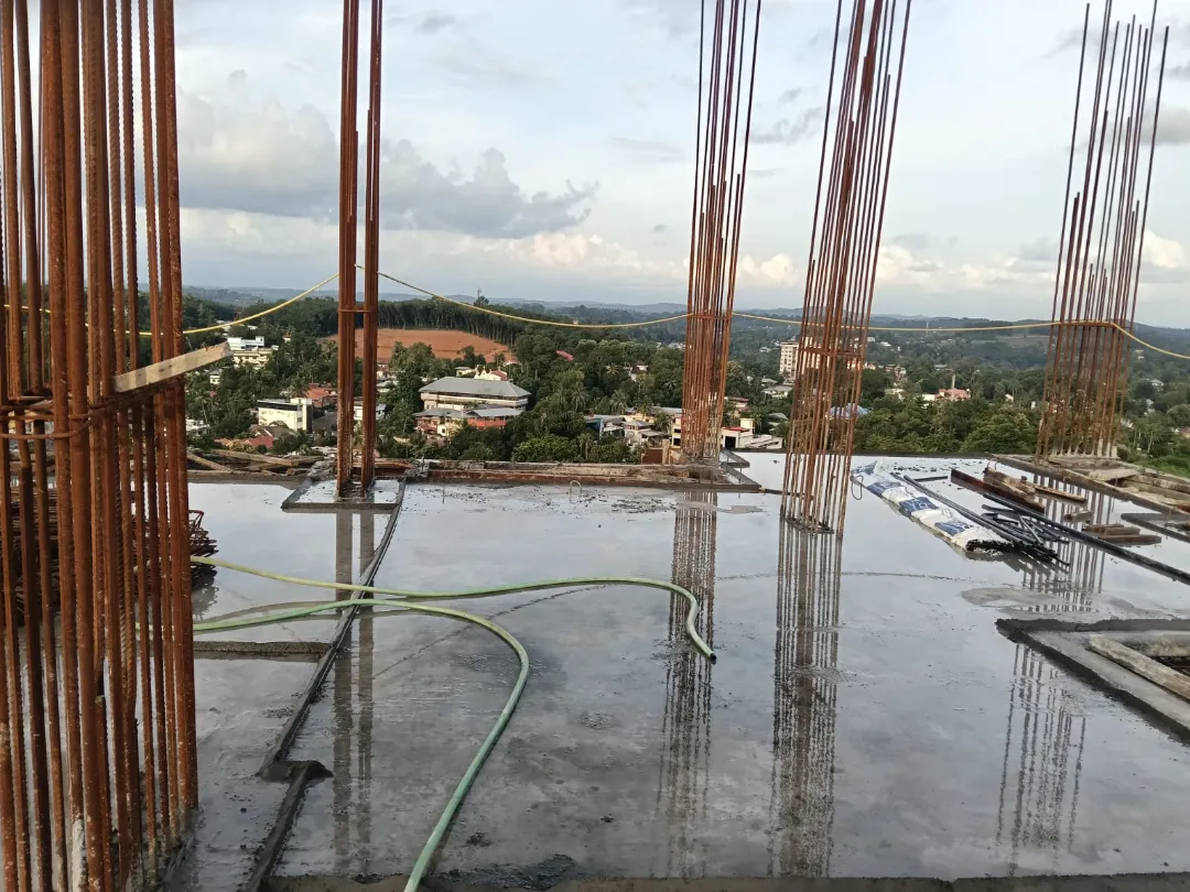 Confident Silver Oak Project Schedule on 7th August 2026