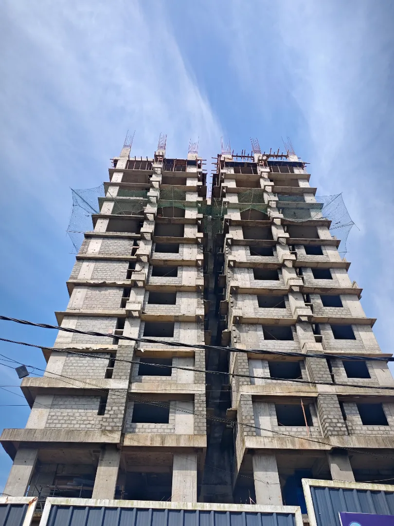 Confident Silver Oak Project Schedule on 7th August 2026
