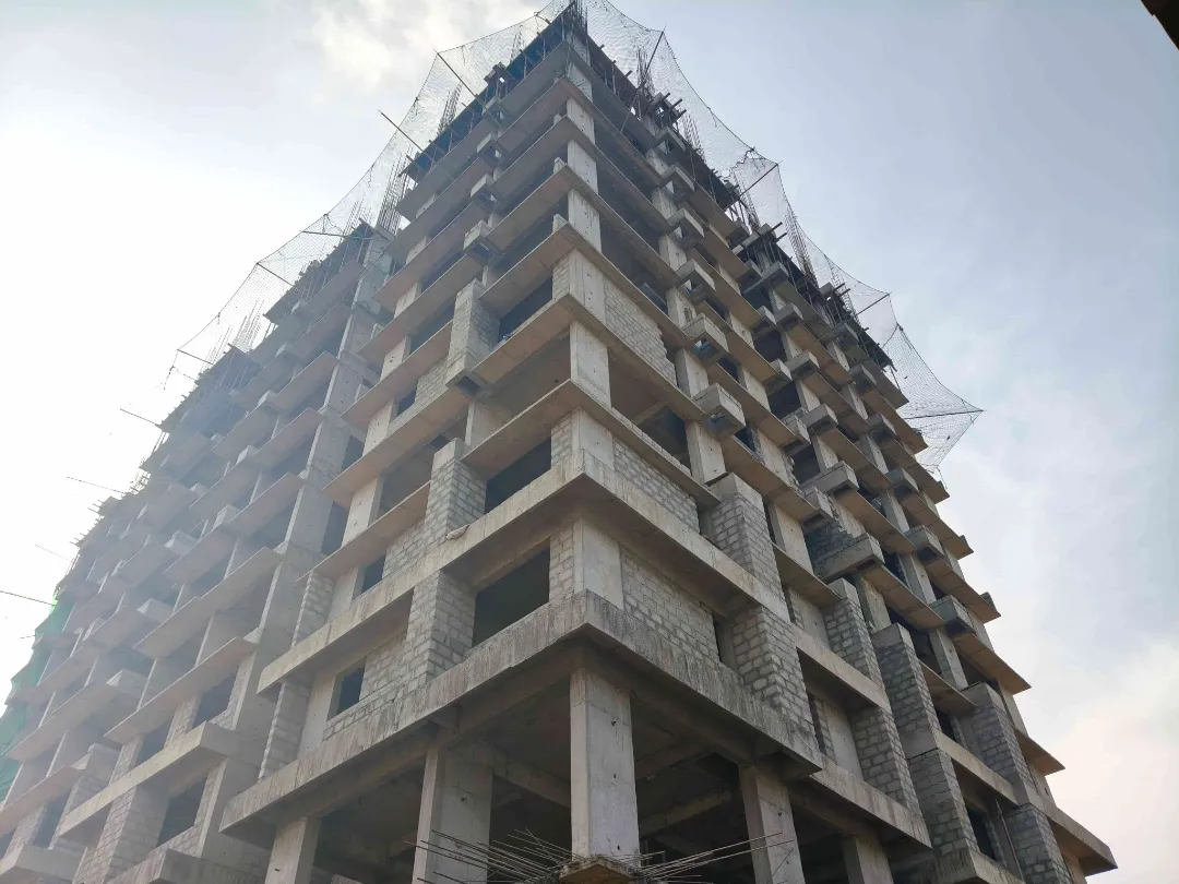 Confident Silver Oak Project Schedule on 10th April 2026