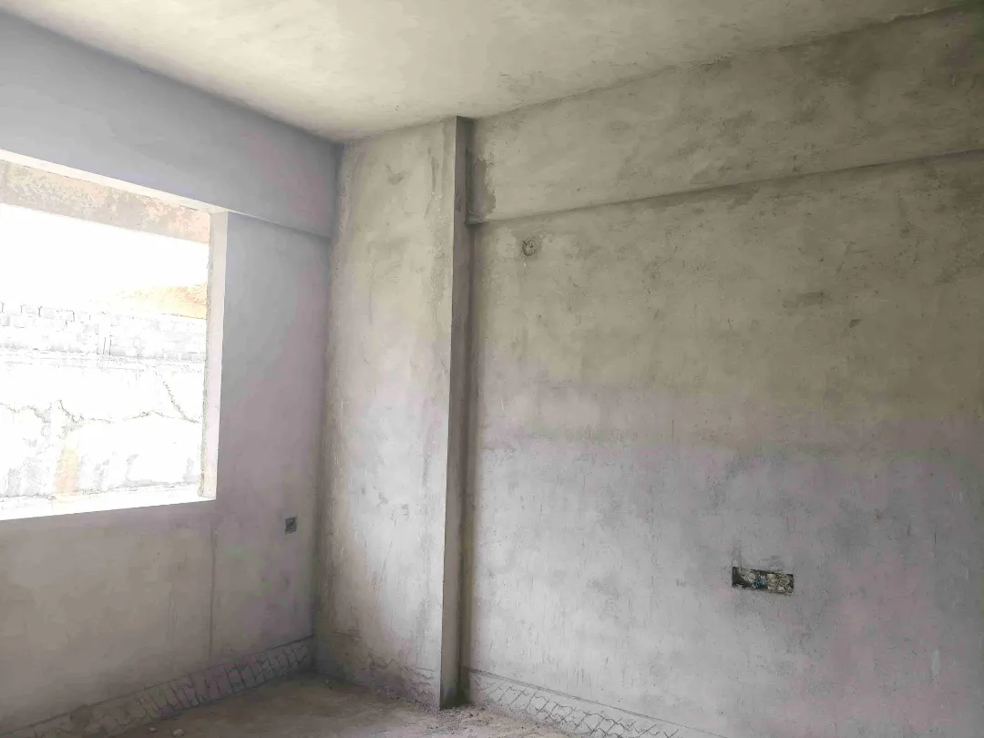 Confident Silver Oak Project Schedule on 10th April 2026