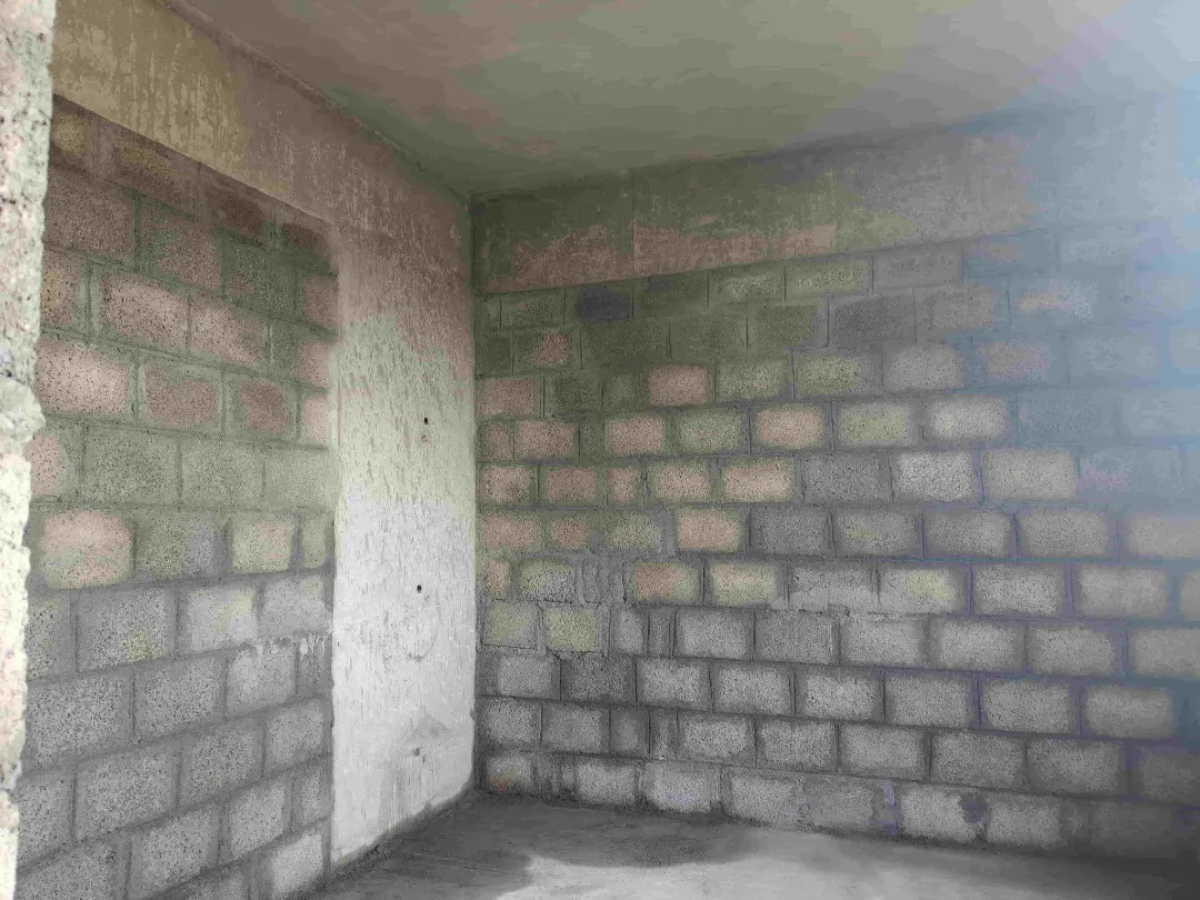 Confident Silver Oak Project Schedule on 10th April 2026