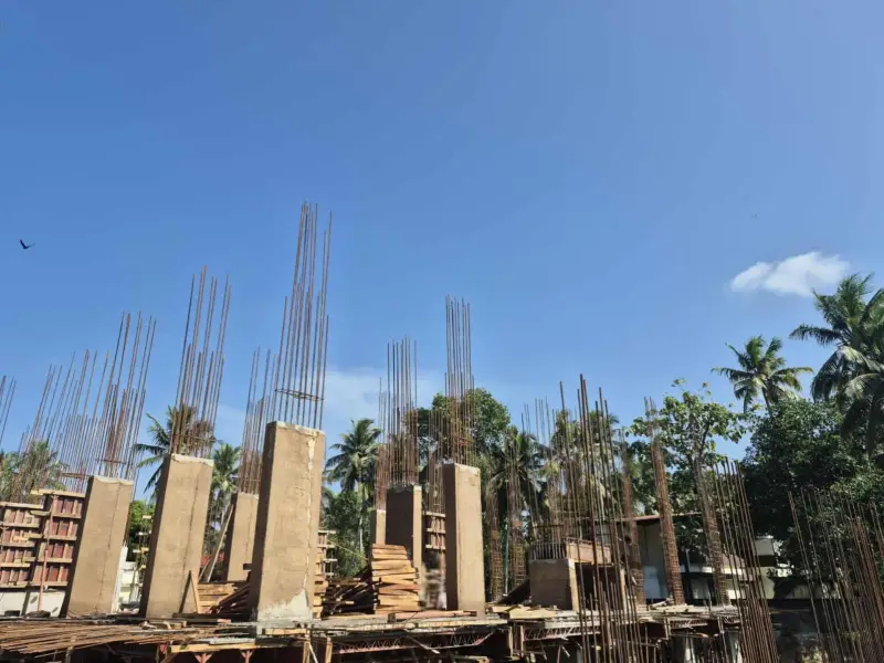 Confident Amaze Project Schedule on 10th November 2025