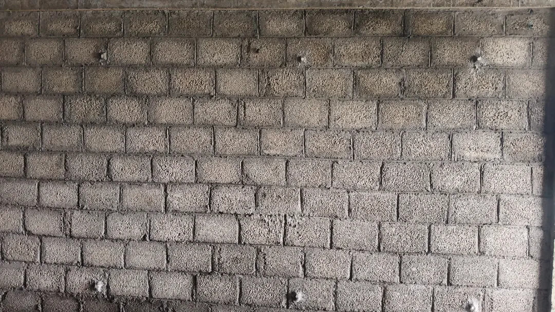 Confident Silver Oak Project Schedule on 10th July 2026