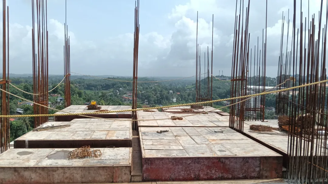 Confident Silver Oak Project Schedule on 10th July 2026