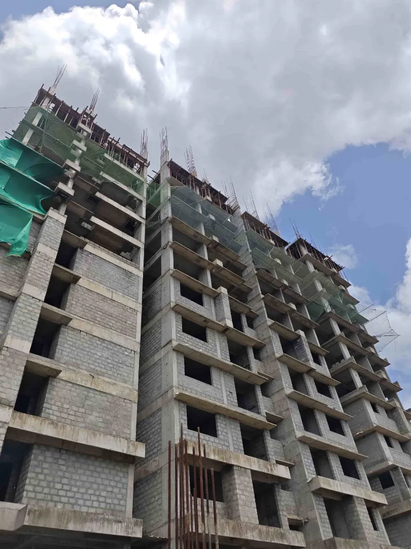 Confident Silver Oak Project Schedule on 10th July 2026