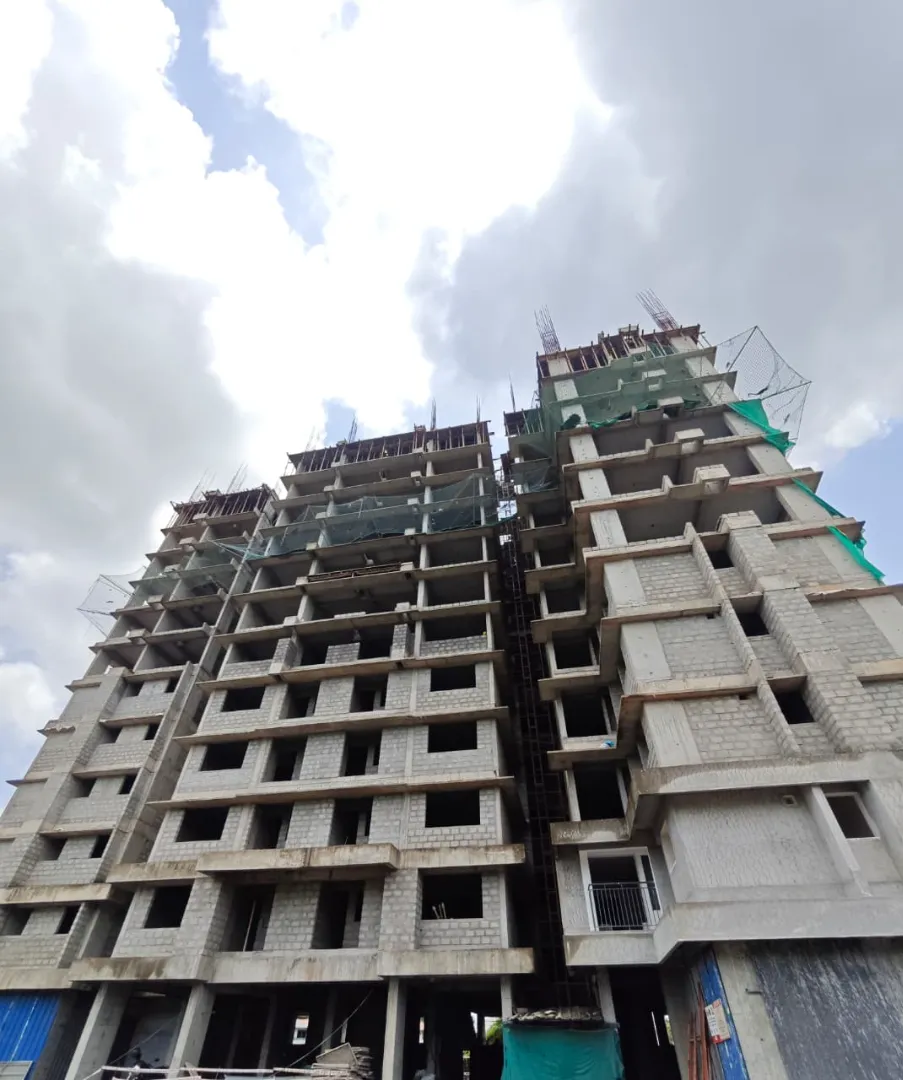 Confident Silver Oak Project Schedule on 10th July 2026
