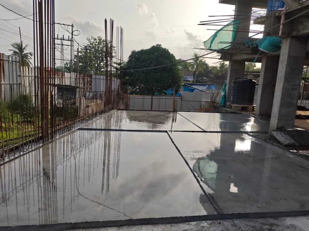 Confident Silver Oak Project Schedule on 10th July 2026