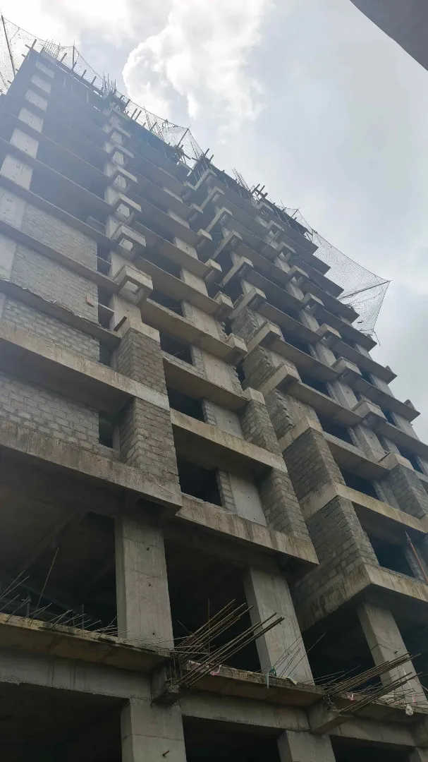 Confident Silver Oak Project Schedule on 10th July 2026