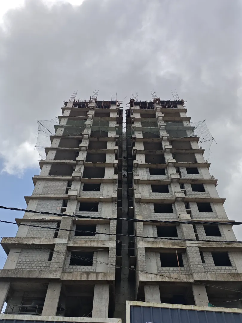 Confident Silver Oak Project Schedule on 10th July 2026