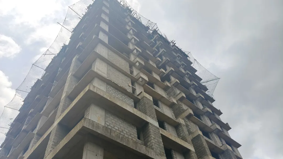 Confident Silver Oak Project Schedule on 10th July 2026