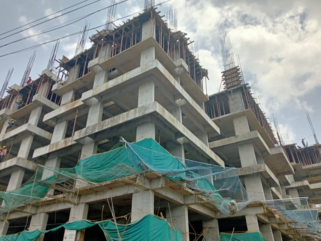 Confident Silver Oak Project Schedule on 11th September 2025