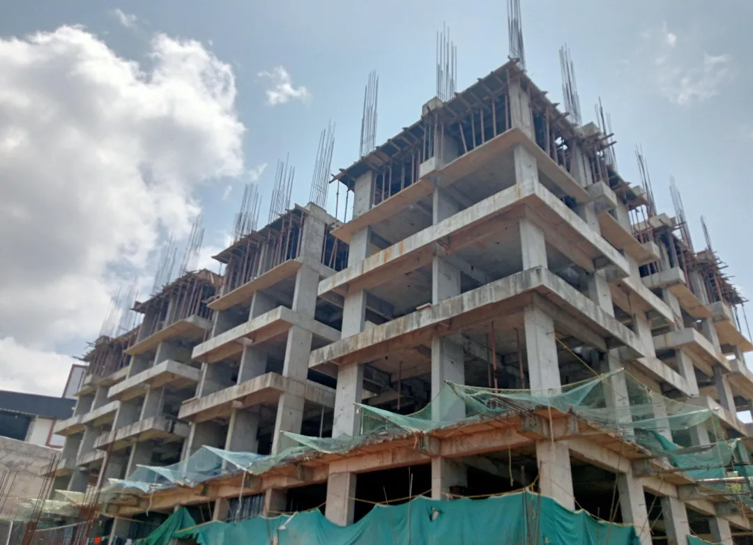 Confident Silver Oak Project Schedule on 11th September 2025