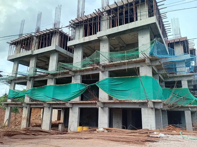 Confident Silver Oak Project Schedule on June 11th, 2025