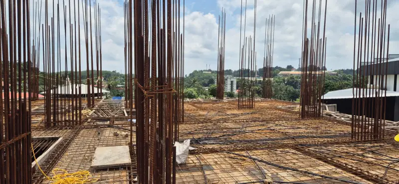 Confident Silver Oak Project Schedule on 11th August 2025