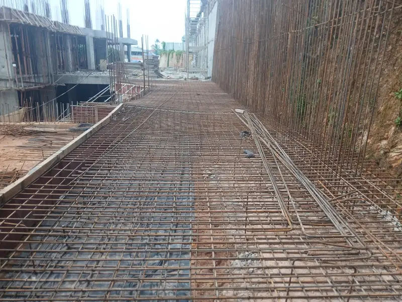 Confident Silver Oak Project Schedule on May 12th, 2025