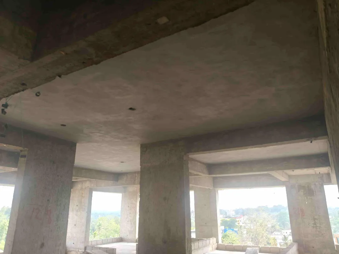 Confident Silver Oak Project Schedule on 12th May 2026