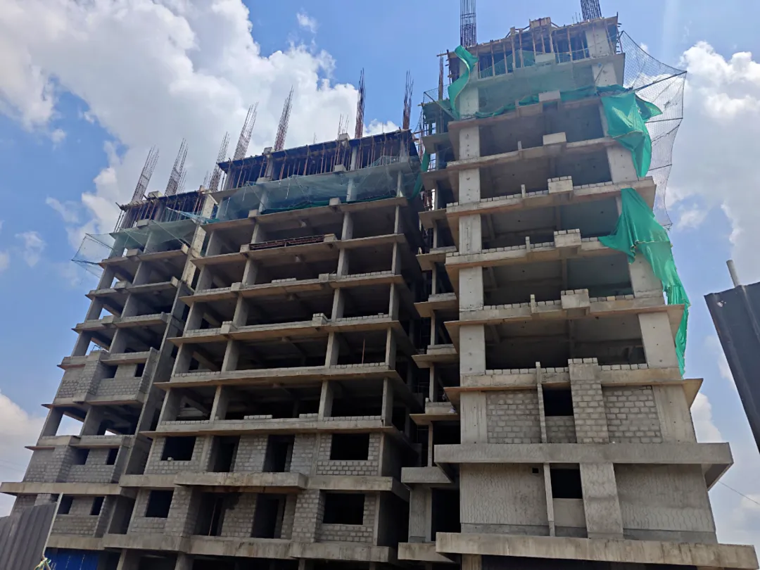 Confident Silver Oak Project Schedule on 12th May 2026