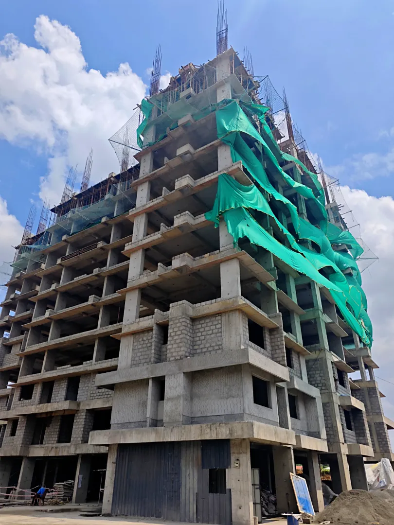 Confident Silver Oak Project Schedule on 12th May 2026