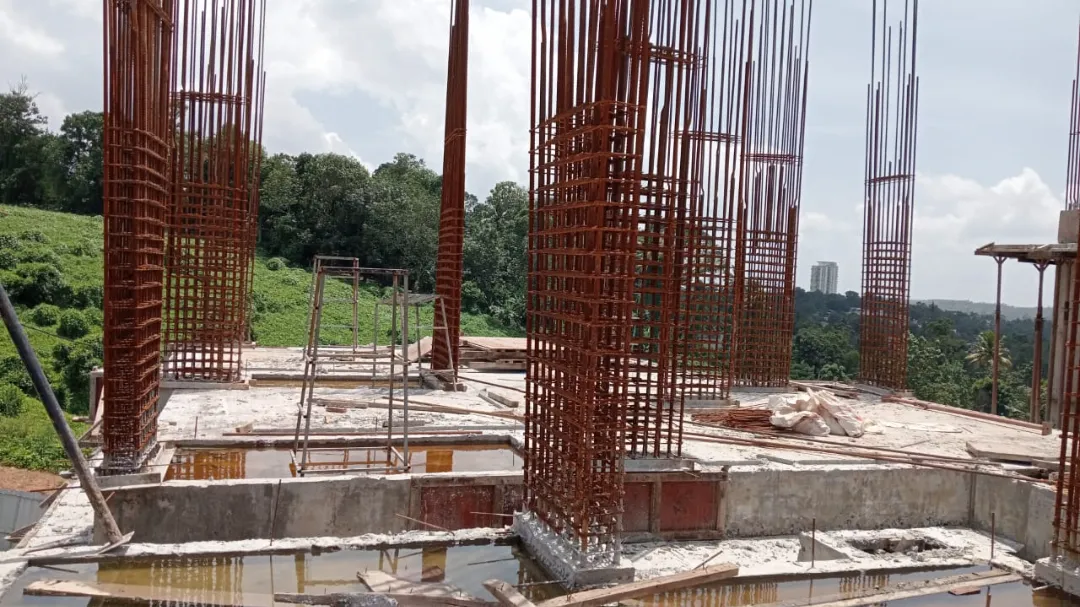 Confident Silver Oak Project Schedule on 13th September 2025