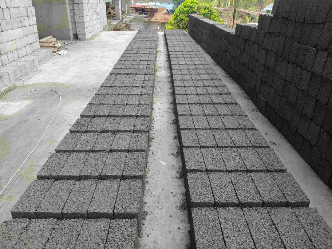 Confident Silver Oak Project Schedule on 13th March 2026