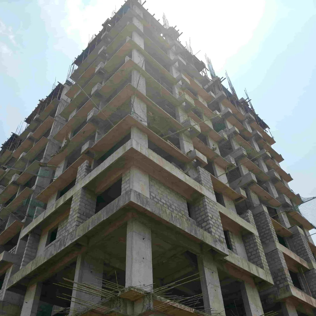 Confident Silver Oak Project Schedule on 13th March 2026