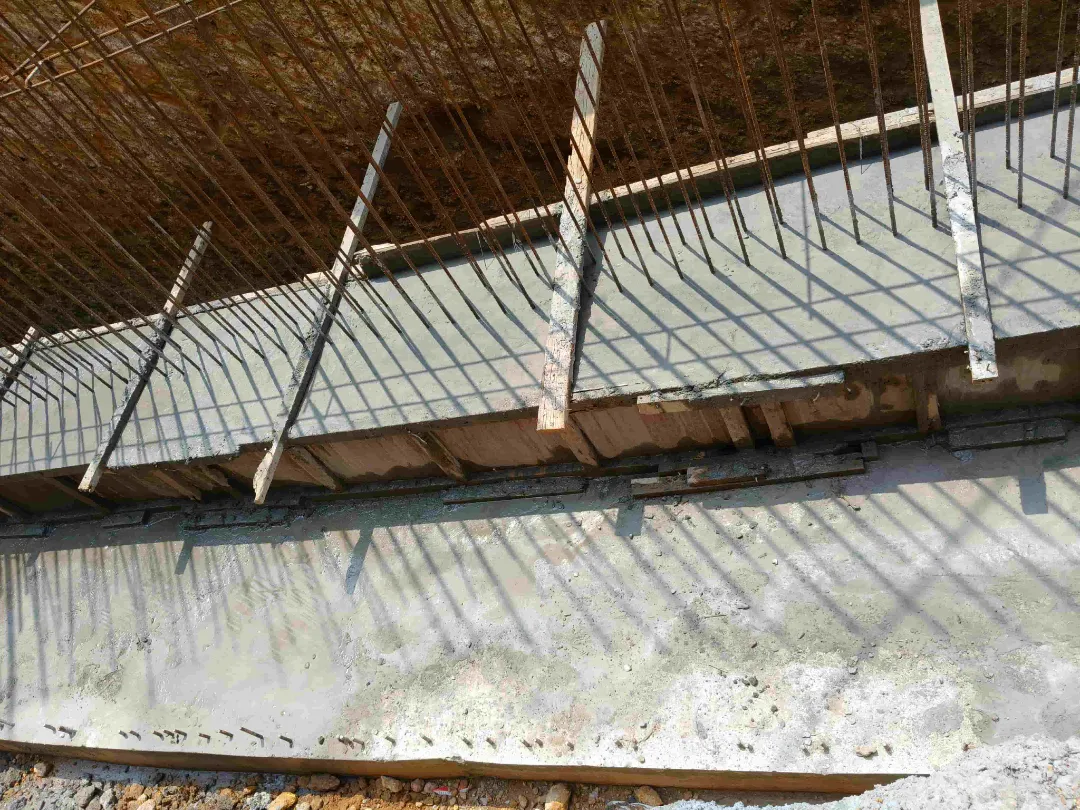 Confident Silver Oak Project Schedule on 13th March 2026