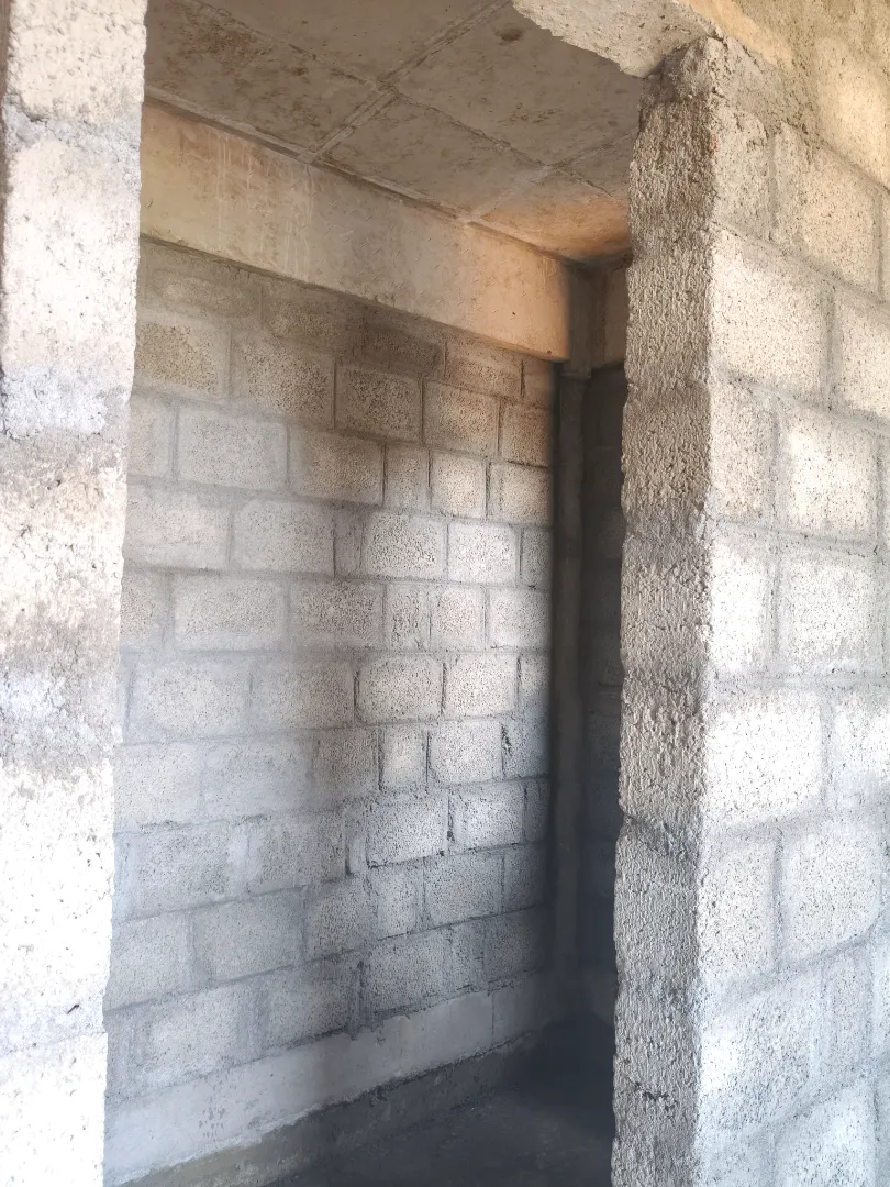 Confident Silver Oak Project Schedule on 13th February 2026