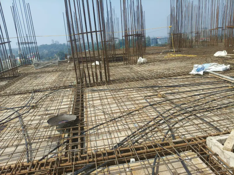 Confident Silver Oak Project Schedule on 18th December 2025