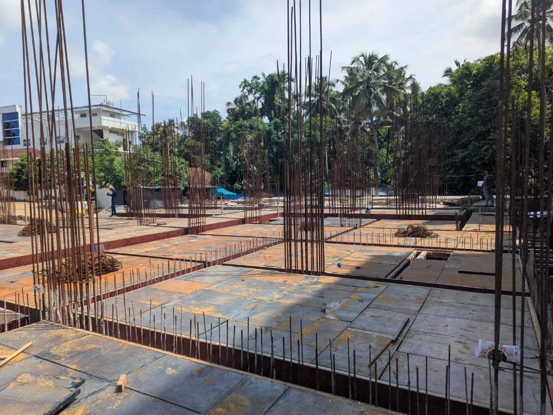 Confident Bliss Project Schedule on 1st June 2026