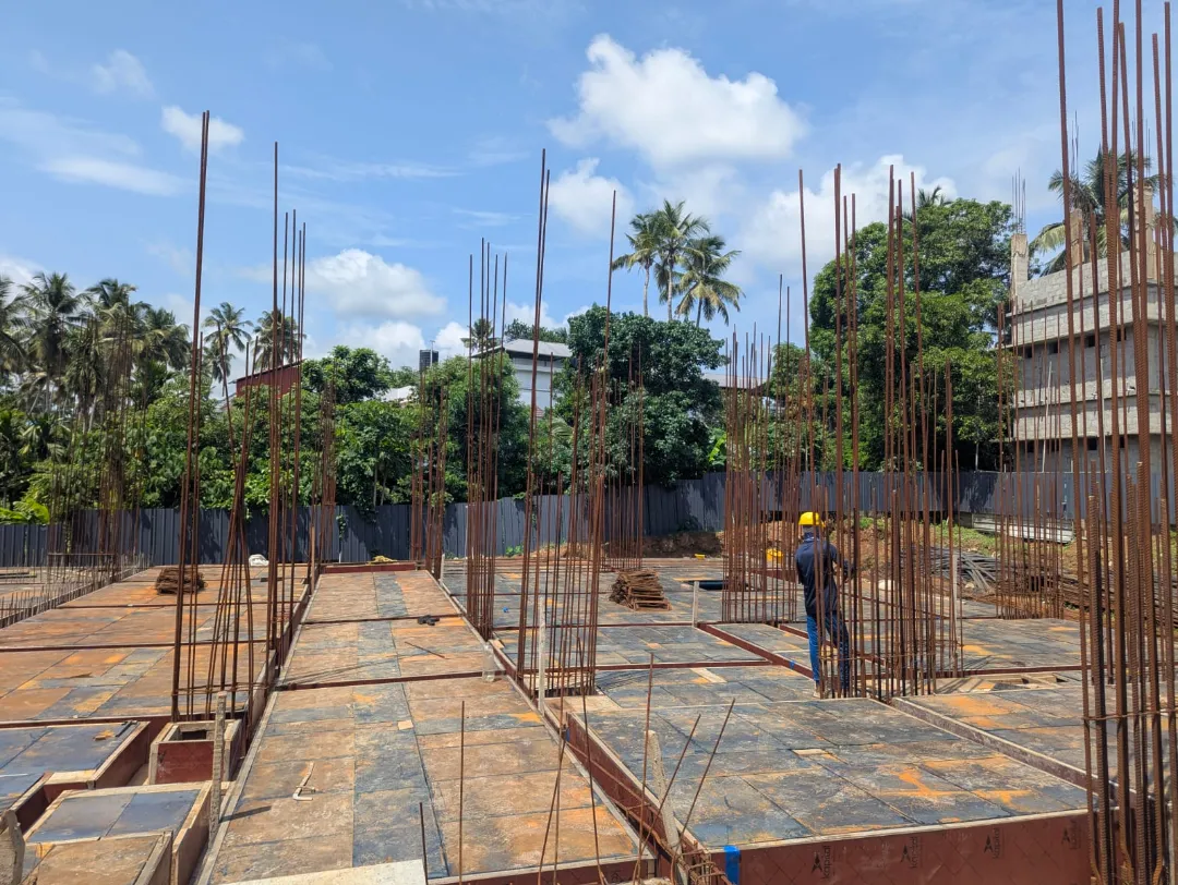 Confident Bliss Project Schedule on 1st June 2026