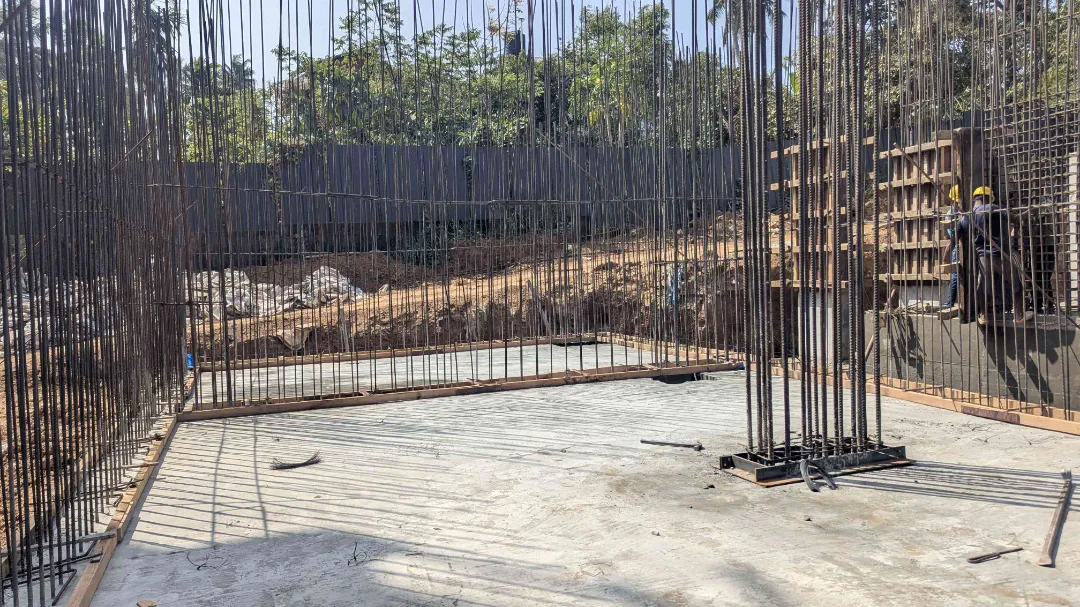 Confident Bliss Project Schedule on 5th February 2026