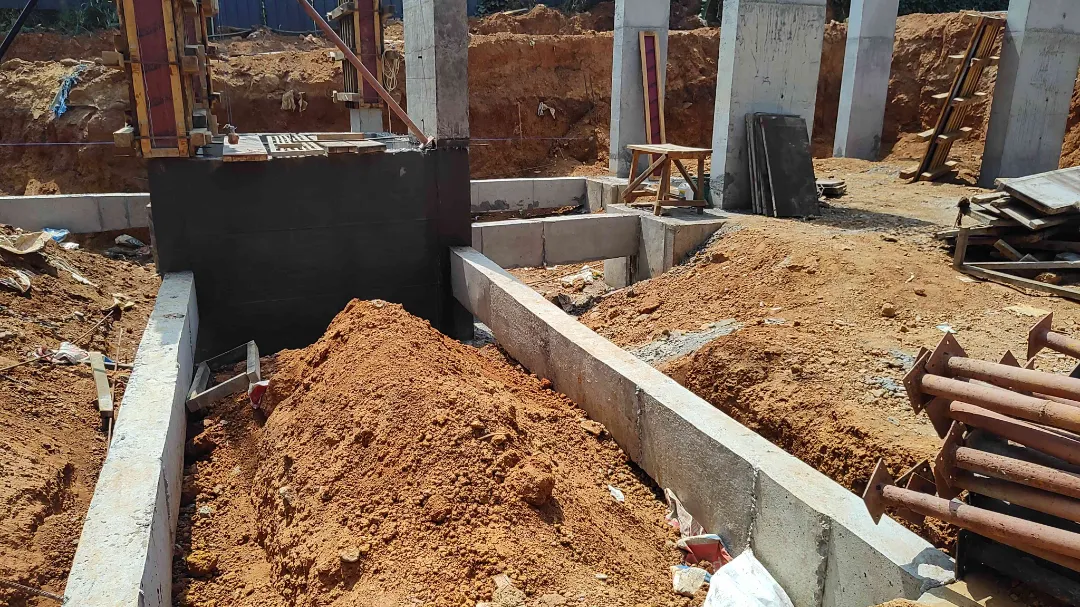 Confident Bliss Project Schedule on 5th February 2026