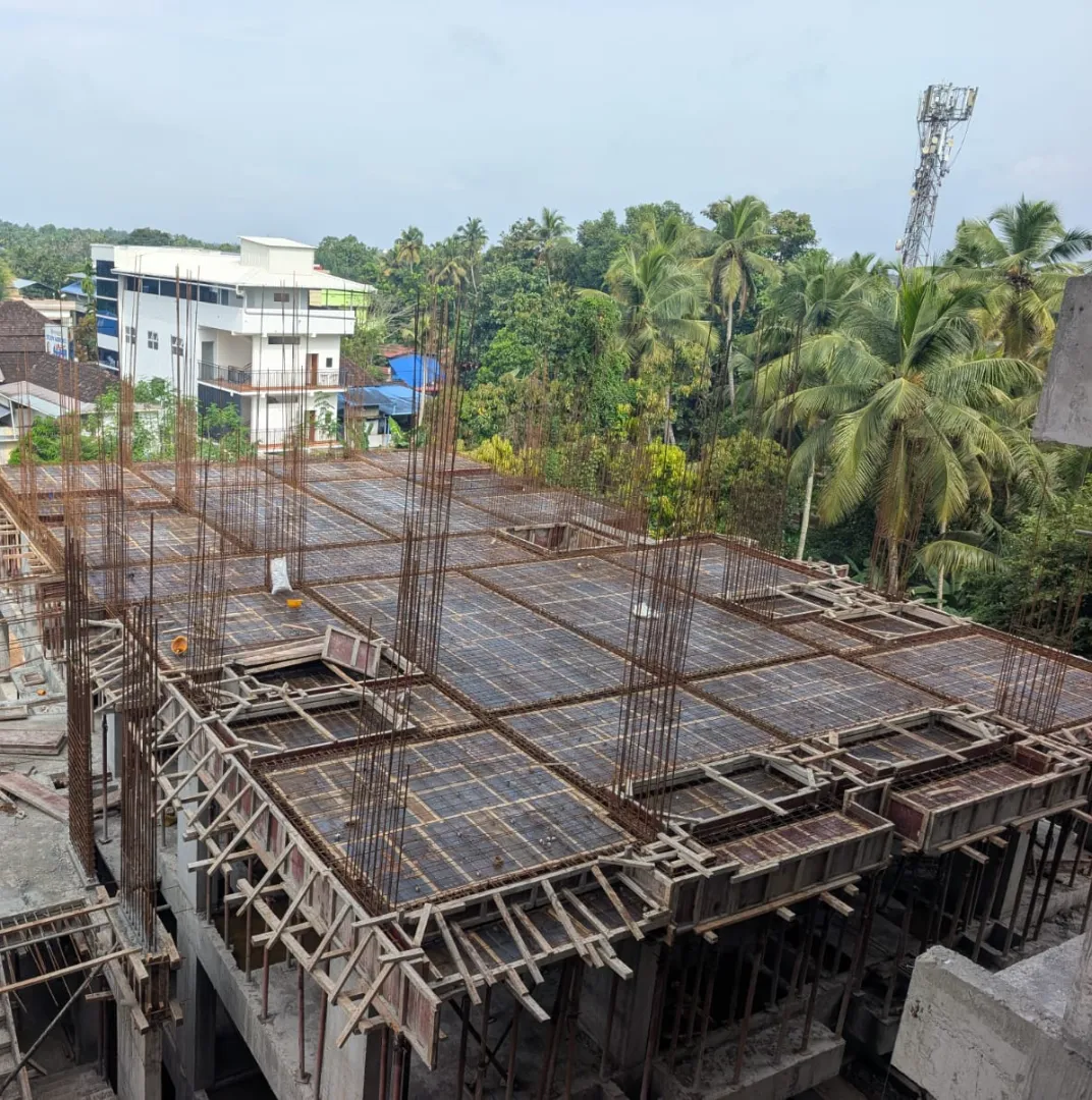 Confident Bliss Project Schedule on 1st October 2026