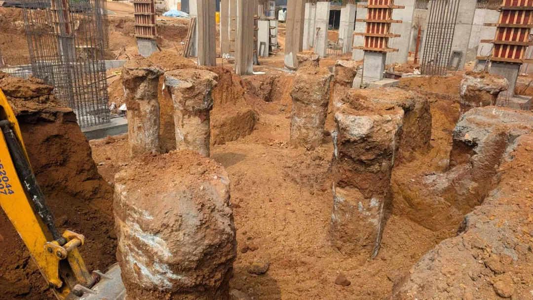 Confident Bliss Project Schedule on 5th January 2026