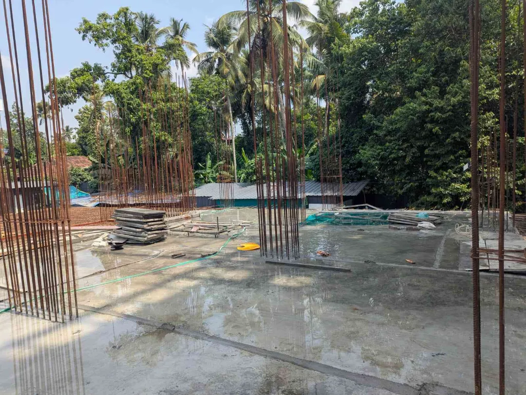 Confident Bliss Project Schedule on 5th May 2026