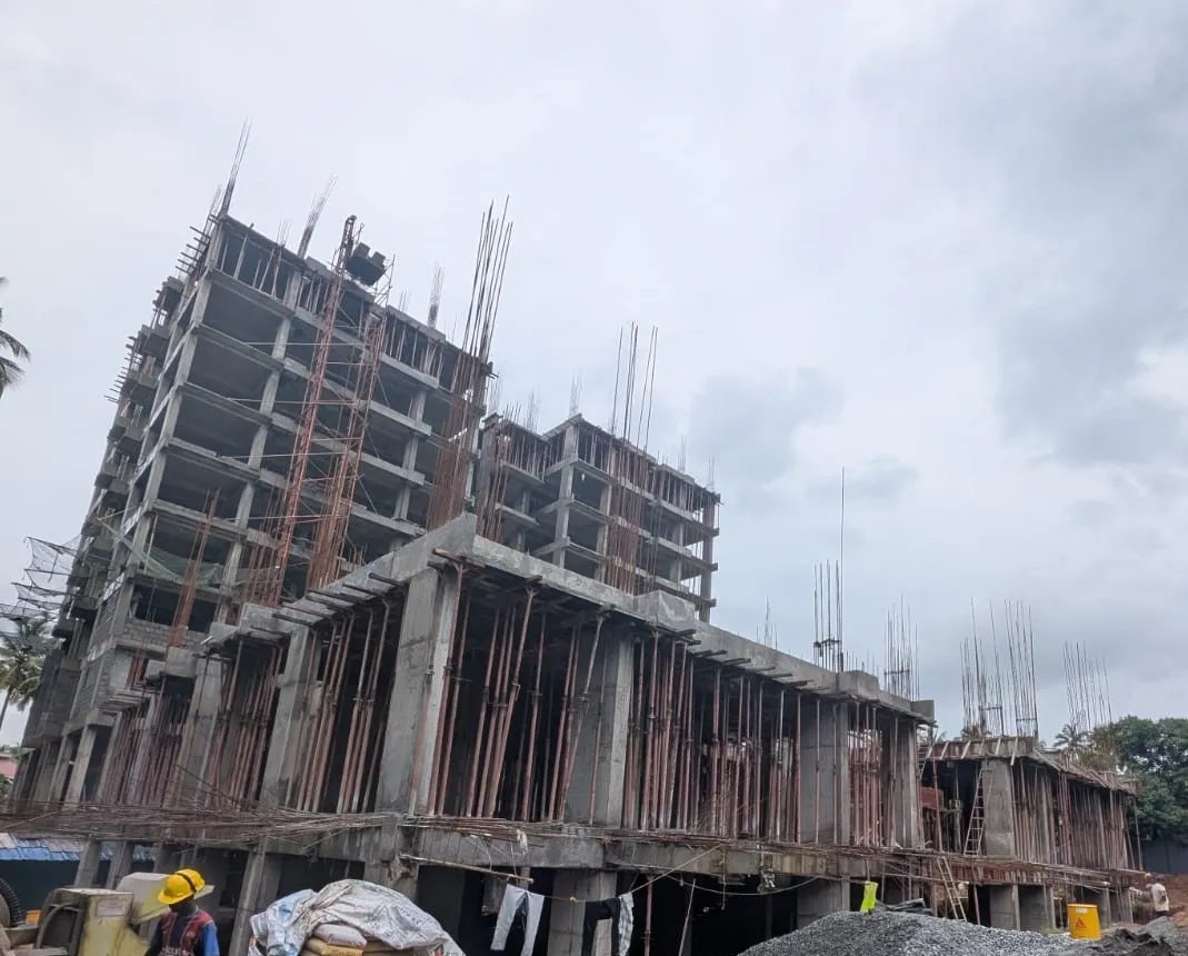 Confident Bliss Project Schedule on 5th August 2026