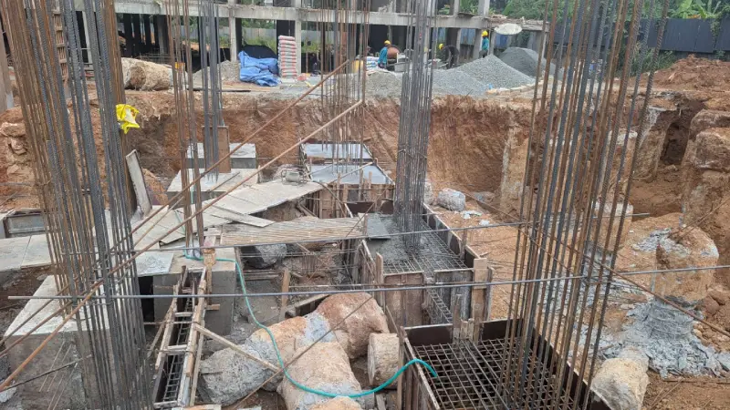 Confident Bliss Project Schedule on 8th December 2025