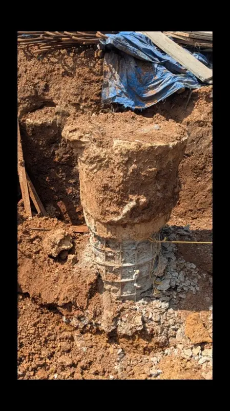 Confident Bliss Project Schedule on 10th November 2025