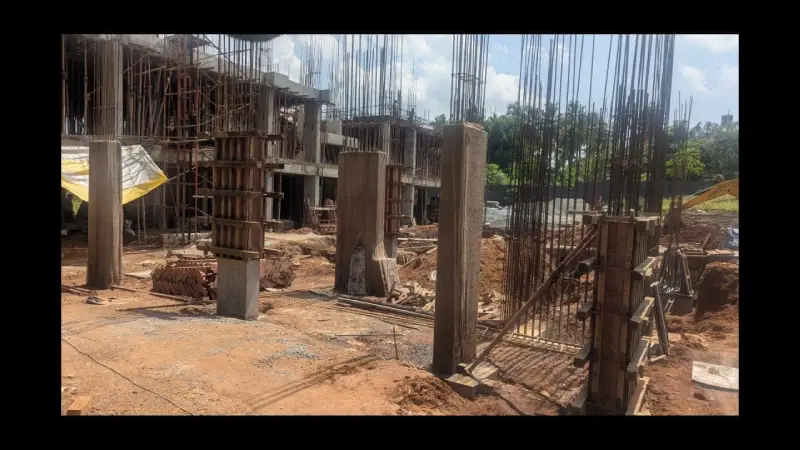 Confident Bliss Project Schedule on 10th November 2025