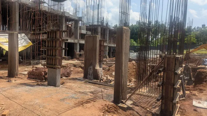 Confident Bliss Project Schedule on 10th November 2025