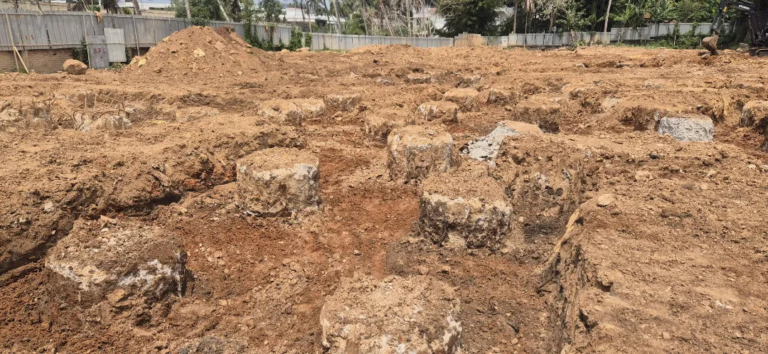 Confident Astoria Project Schedule on 5th March 2026