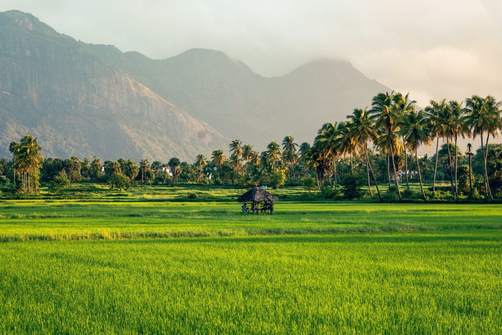kerala traditional lifestyle