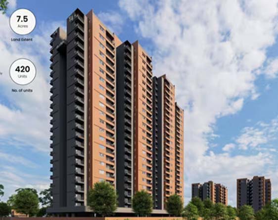 Confident Serene Heights