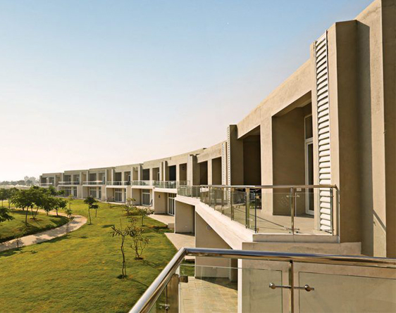 Confident Zion Hills